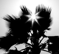 Day_22_111