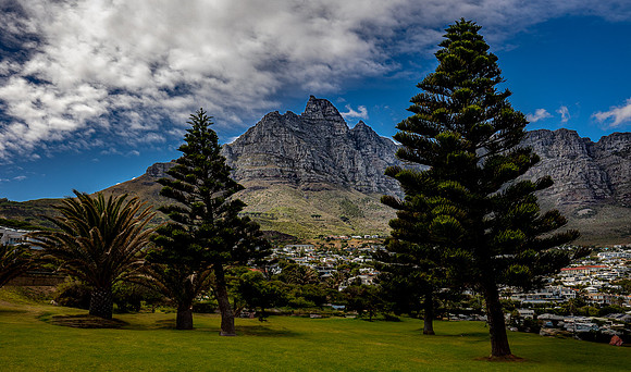 Day_63_498-2