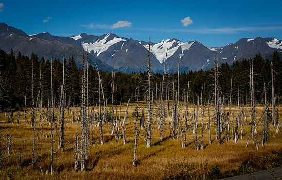 Alaska_CA_9_2016_3857