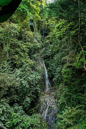 Day_7_55