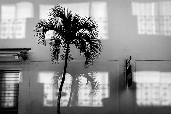 Day_12_1