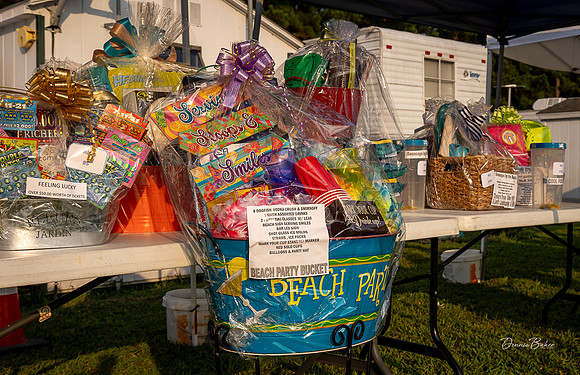 2024_ALS_Benefit_002
